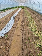 농민님의 작성글 사진