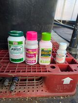 님의 작성글 사진