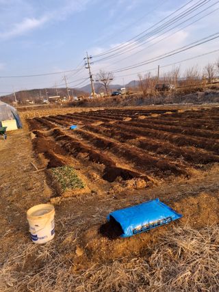 백영호님의 기타작물 · 영농일지 작성글 사진