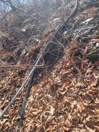 김용대님의 기타작물 · 영농일지 작성글 사진