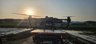 구춘봉님의 마늘 · 영농일지 작성글 사진