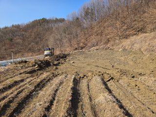 윤자용11대임후회장님의 고추 · 영농일지 작성글 사진