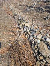 팜모닝 기타작물·영농일지 게시글 이미지