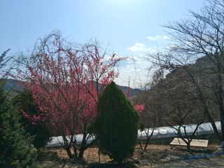 영수농원님의 기타작물 · 영농일지 작성글 사진