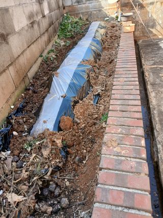 최유순님의 콩 · 영농일지 작성글 사진