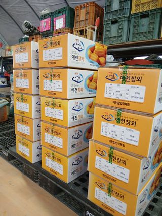 조영임님의 작성글 사진