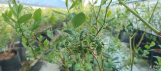 류근택님의 기타작물 · 영농일지 작성글 사진