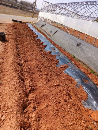 최유순님의 콩 · 영농일지 작성글 사진