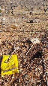 김동명님의 작성글 사진