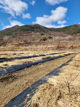 최병정 님의 작성글 사진