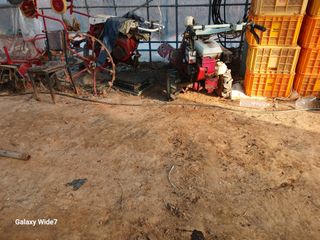 바위돌 심재성님의 기타작물 · 영농일지 작성글 사진