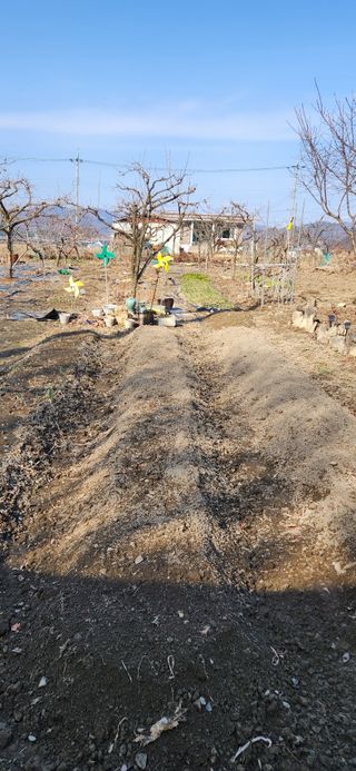 김순섭님의 기타작물 · 영농일지 작성글 사진