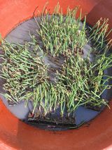 알렉산더님의 작성글 사진