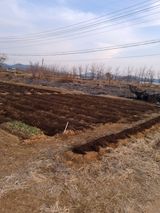 팜모닝 기타작물·영농일지 게시글 이미지