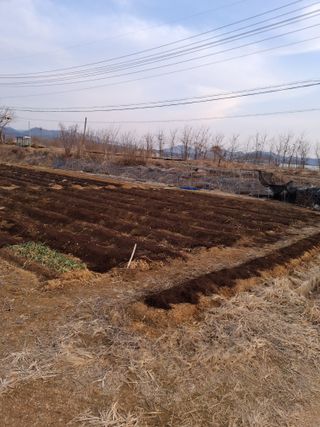 백영호님의 기타작물 · 영농일지 작성글 사진