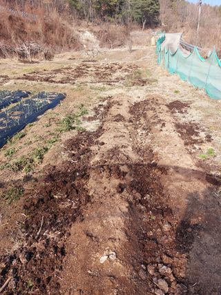 채대균님의 복숭아 · 영농일지 작성글 사진