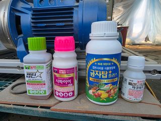 님의 딸기 · 영농일지 작성글 사진