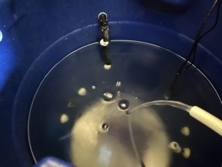 정종배님의 기타작물 · 영농일지 작성글 사진