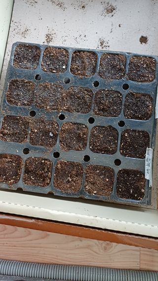 박순덕님의 마늘 · 영농일지 작성글 사진