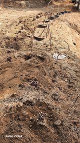 팜모닝 기타작물·영농일지 게시글 이미지