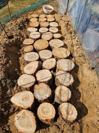 신신기루님의 기타작물 · 영농일지 작성글 사진