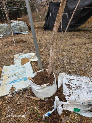 김종협님의 기타작물 · 영농일지 작성글 사진