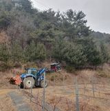 팜모닝 기타작물·영농일지 게시글 이미지