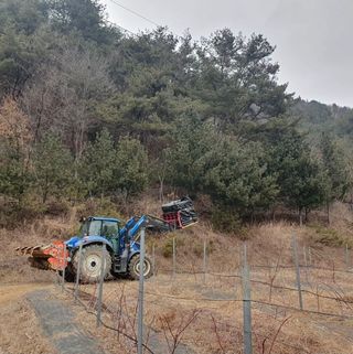 황인근님의 기타작물 · 영농일지 작성글 사진