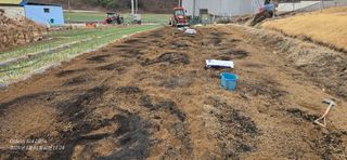 미우리님의 감자 · 영농일지 작성글 사진