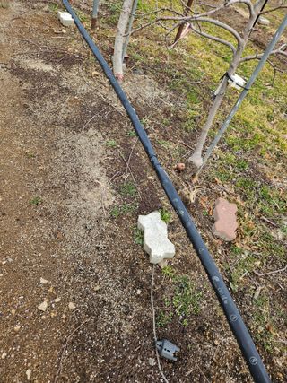 봉좌산님의 사과 · 영농일지 작성글 사진