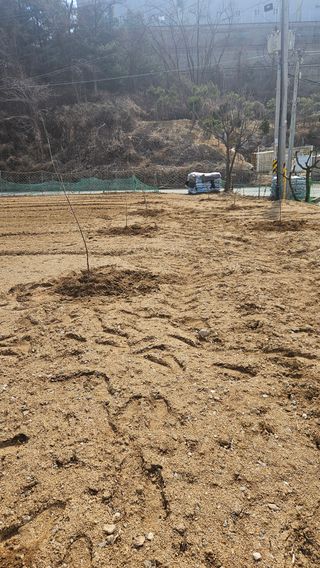 이순정님의 복숭아 · 영농일지 작성글 사진