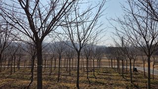 정진우님의 기타작물 · 영농일지 작성글 사진