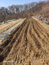 팜모닝 감자·영농일지 게시글 이미지