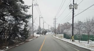 설장구님의 기타작물 · 영농일지 작성글 사진