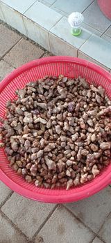 팜모닝 감자·영농일지 게시글 이미지