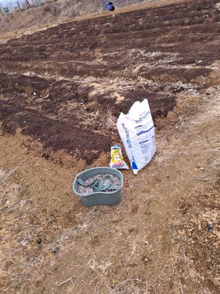 백영호님의 기타작물 · 영농일지 작성글 사진