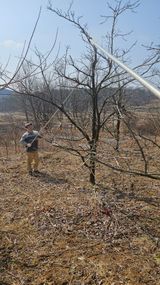 팜모닝 감·영농일지 게시글 이미지