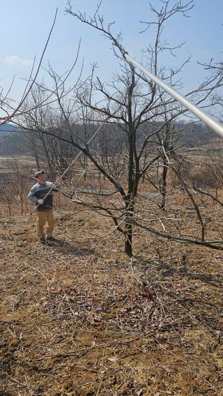 정규환님의 작성글 사진