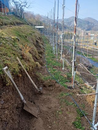 보공(김대호)님의 기타작물 · 영농일지 작성글 사진