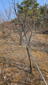 정규환님의 작성글 사진