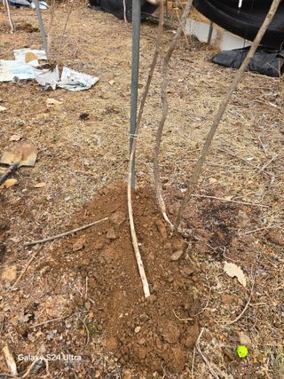 김종협님의 기타작물 · 영농일지 작성글 사진