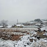 팜모닝 기타작물·영농일지 게시글 이미지