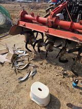 팜모닝 기타작물·영농일지 게시글 이미지