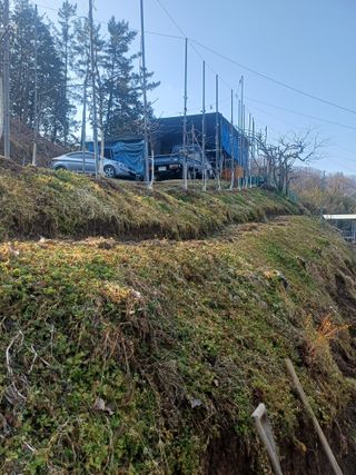 보공(김대호)님의 기타작물 · 영농일지 작성글 사진