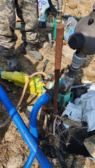 김동원님의 포도 · 영농일지 작성글 사진