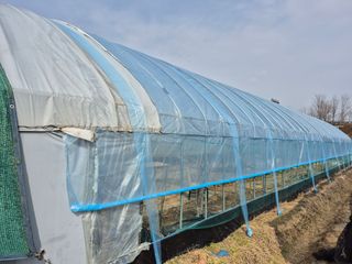 김한수님의 기타작물 · 영농일지 작성글 사진