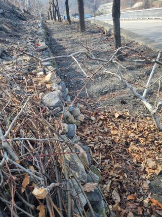 김용대님의 복숭아 · 영농일지 작성글 사진