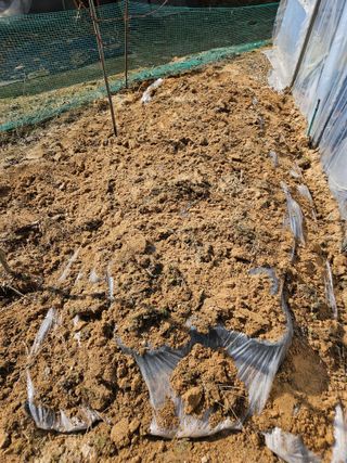 신신기루님의 기타작물 · 영농일지 작성글 사진