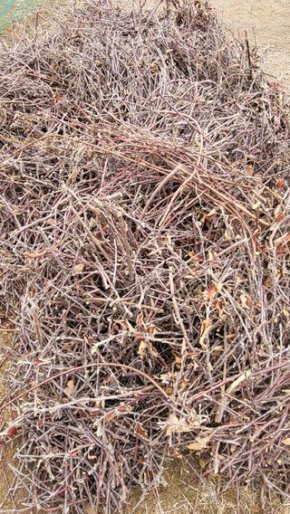 주신님의 사과 · 영농일지 작성글 사진