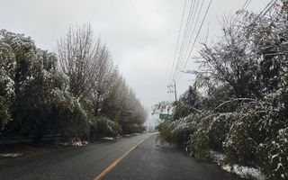 설장구님의 기타작물 · 영농일지 작성글 사진